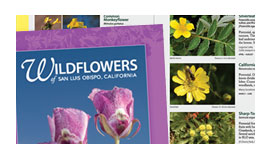 Wildflower Book