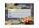 NATURAL REMEDIES ~ Gift Certificates ~ 5.5' x 4.25